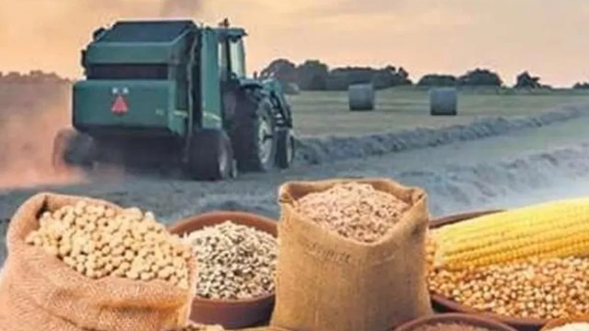 Tarımsal ürün fiyatları ve endekslerde yükseliş