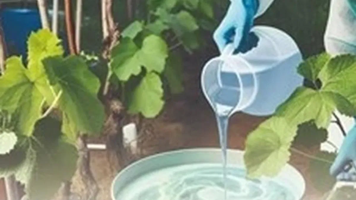 Denizli’de kırsal üretime güçlü destek paketi