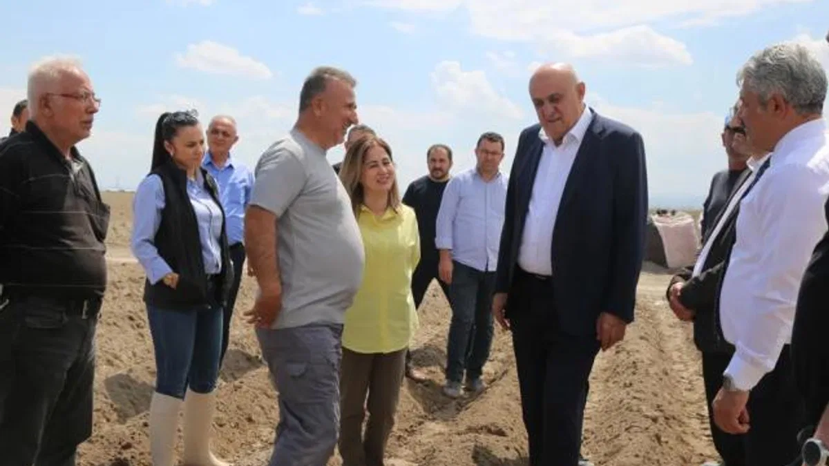 Konya’da patates atağı… İthal tohum dönemi sona eriyor