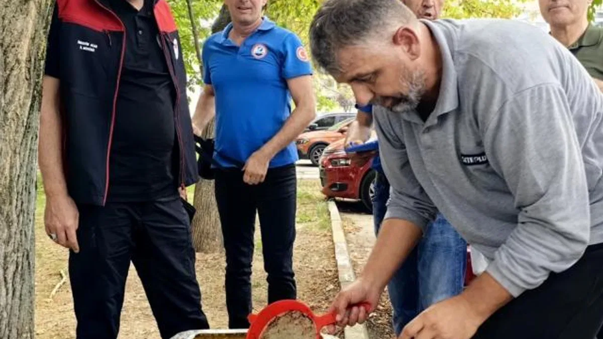 Bursa’nın su kaynaklarına 2,2 milyon sazan balığı bırakılacak