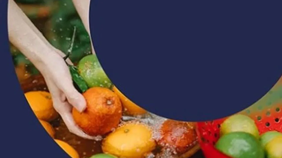 Türkiye’den ‘PlantHealth4Life’ kampanyasına destek