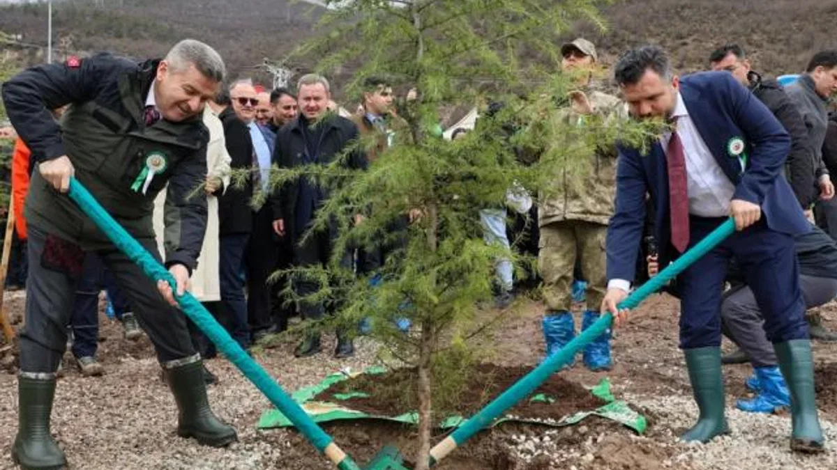 Artvin’de 21 Mart’a özel fidan dikimi