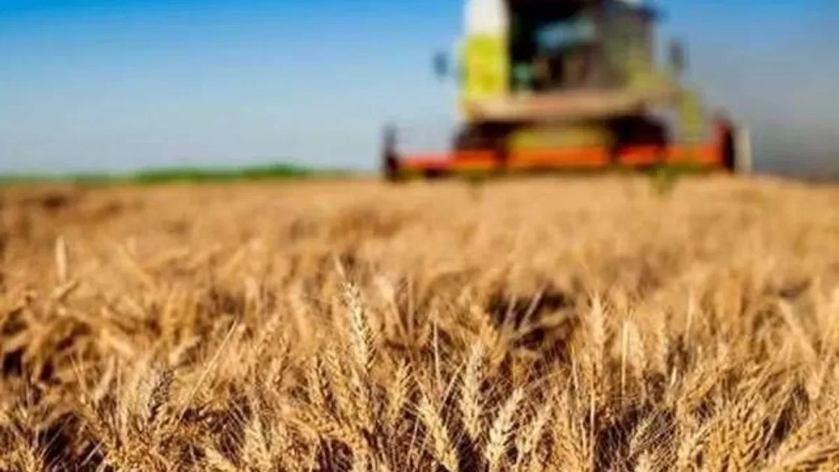 Kırsal kalkınma yatırımlarında 10 milyar TL’lik destek başladı
