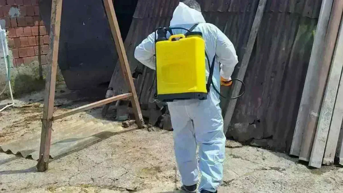 İstanbul’da kurban alanlarında ilaçlama çalışmaları sürüyor