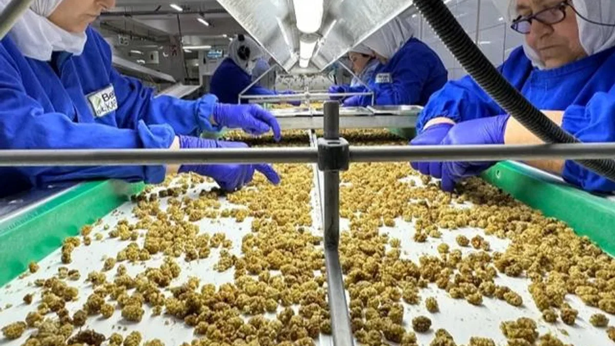 Çin’de organik sektörü 15 milyar dolarlık hacme ulaştı