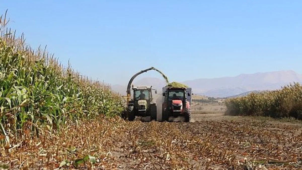 Antalya Büyükşehir Belediyesi tohum desteğiyle üreticilerin yanındaElmalı’da silajlık mısır hasadı yapıldı