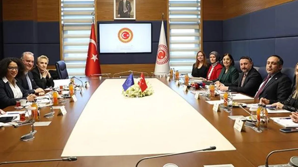 Türkiye-AB Karma Komisyonu toplandı