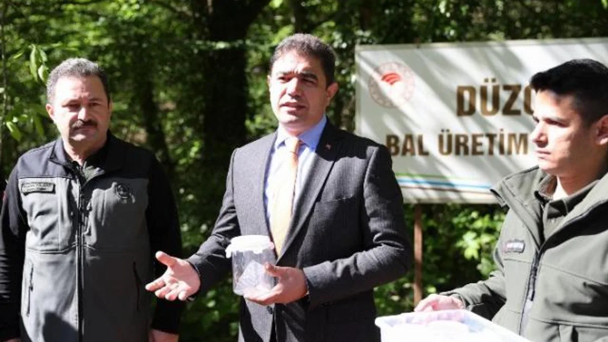 Düzce Valiliğinden gal arısı ile mücadele