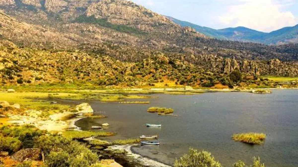 Proje Evi Kooperatifi’nden evrensel imza