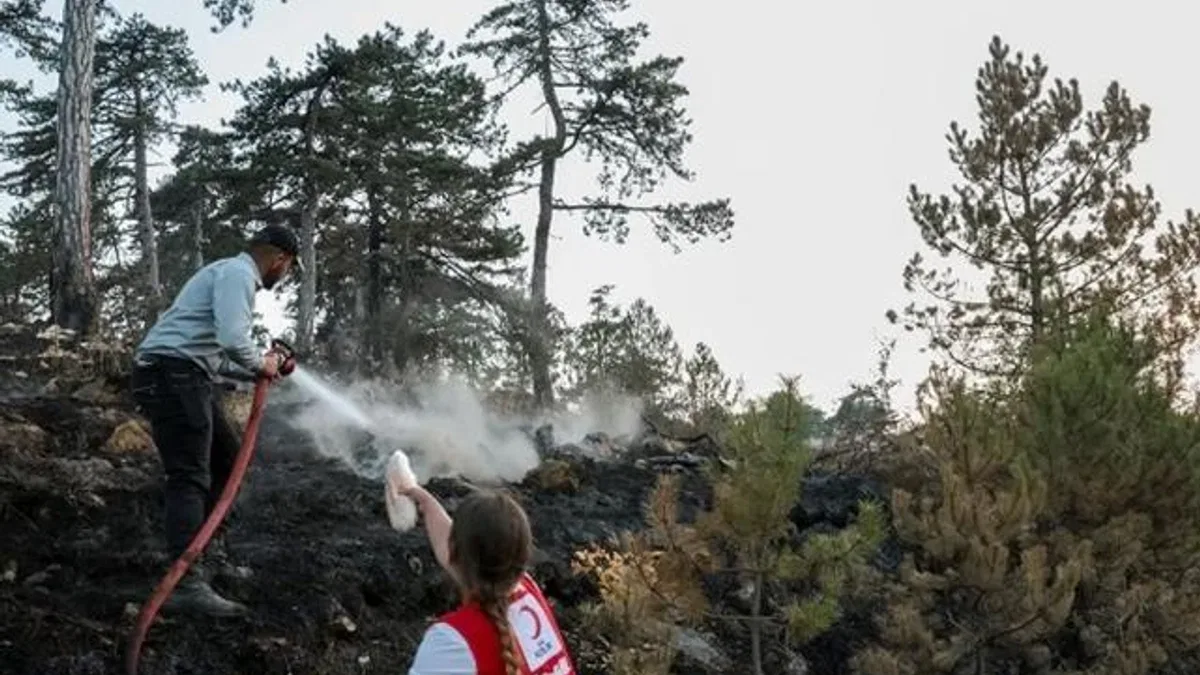 Türk Kızılayı orman yangınlarıyla mücadelede ön safta