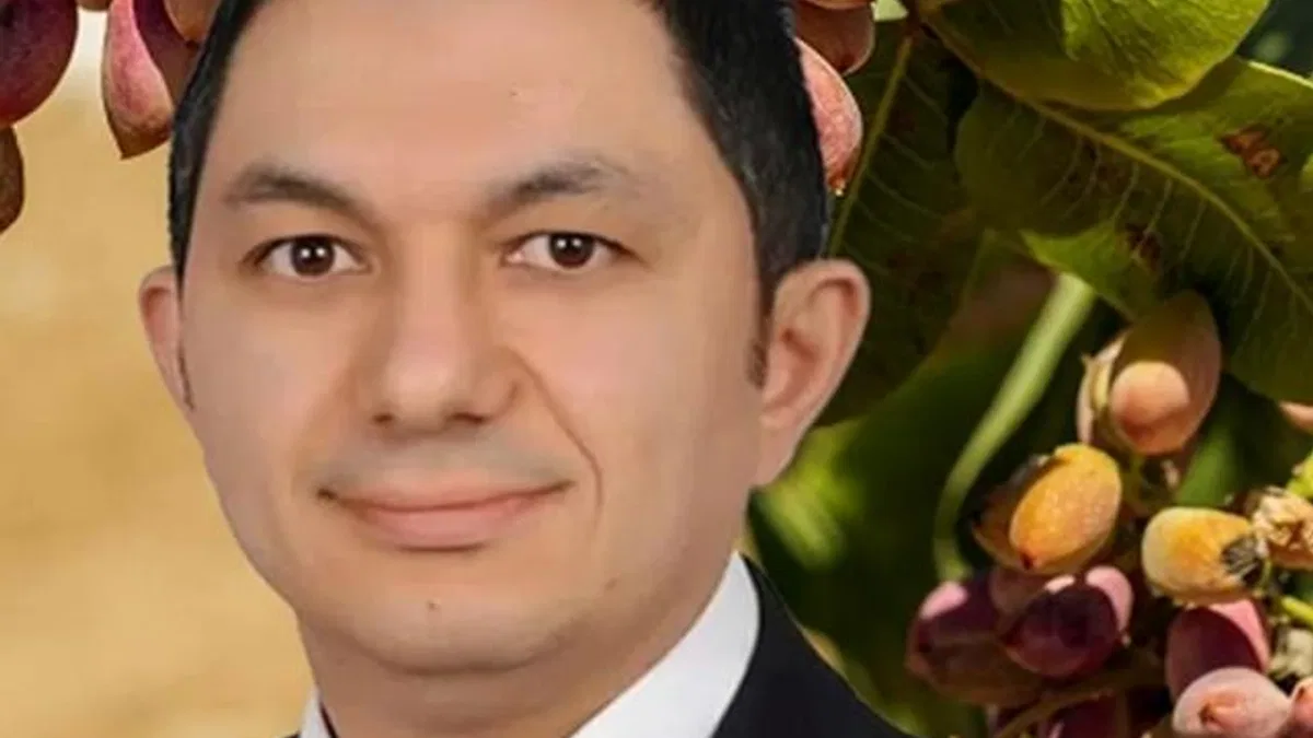 UKAB MYK Üyesi Büyükmurat: İthal fıstık çiftçiyi bitirir!