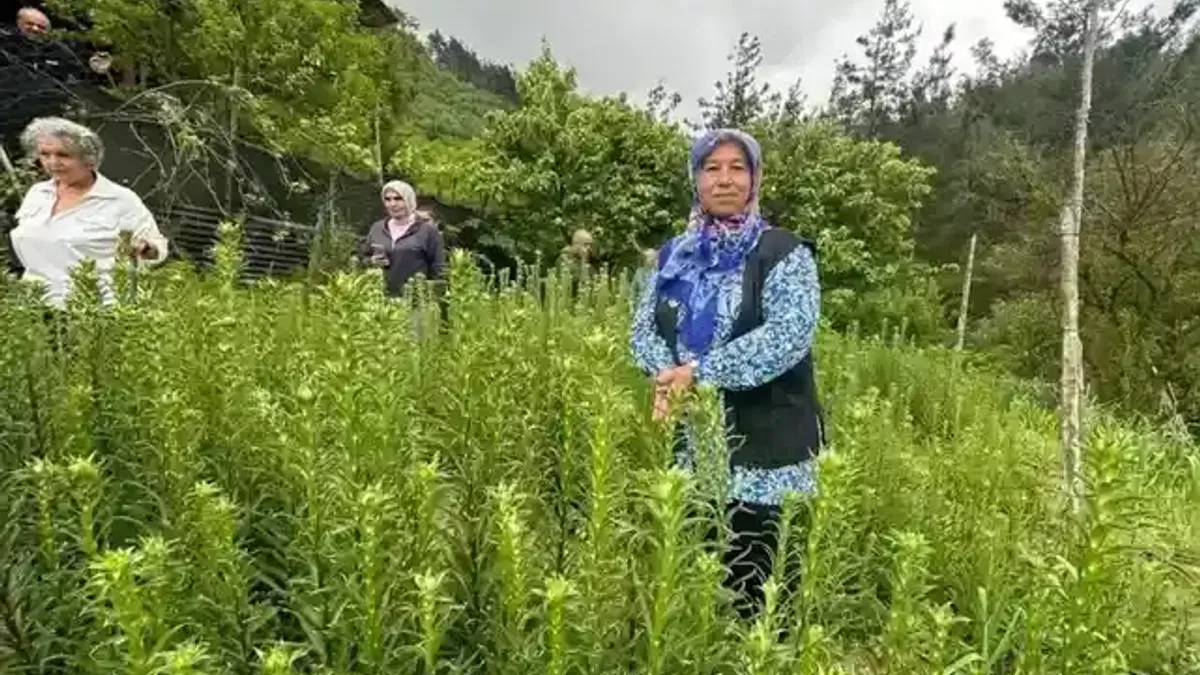 Adana’da ‘Ak Zambak’la kadın üretimi ve istihdama katkı