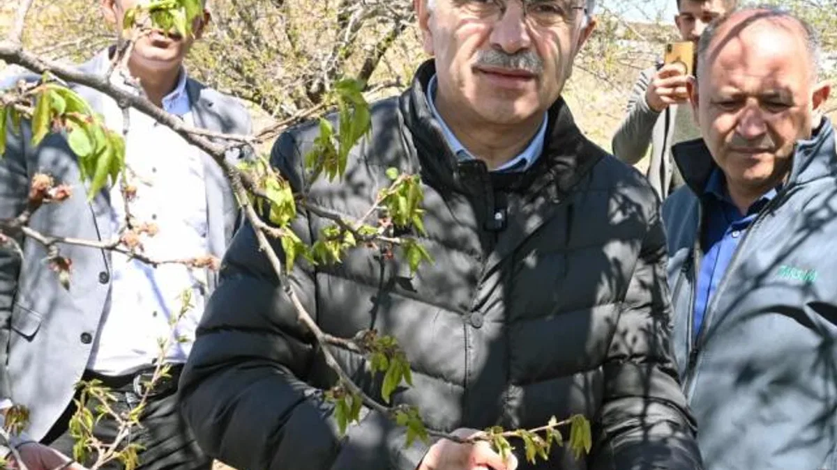 Malatya’da kar ve don mağduriyeti incelemesi