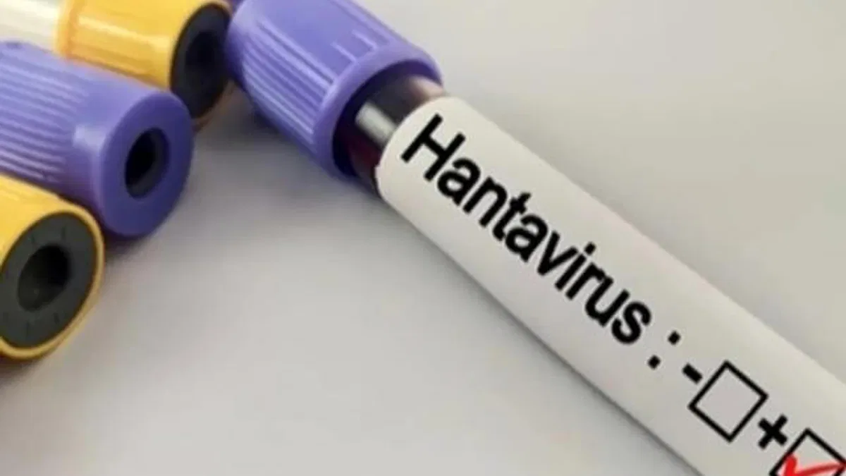 Hantavirüs salgına dönüşür mü? Kapalı alan temizliğinde büyük risk