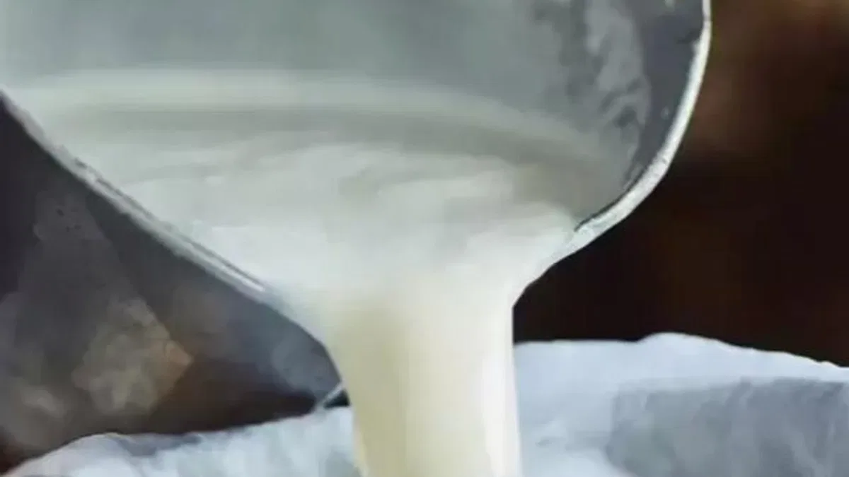 Şubat’ta süt ürünleri üretiminde düşüş… Ayran ve kefir üretimi yüzde 6,9 arttı