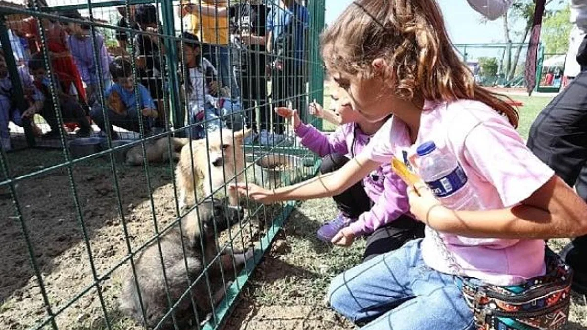 Hayvanları Koruma Gününe Renkli Kutlama