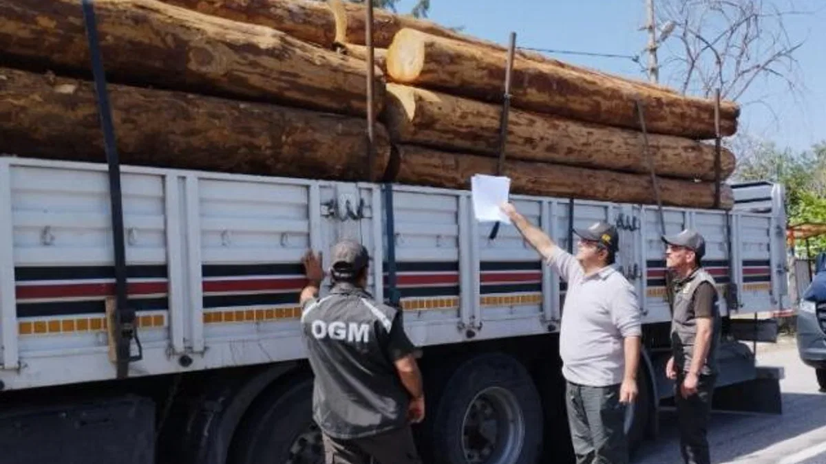 Mobil orman kontrol noktaları denetimde