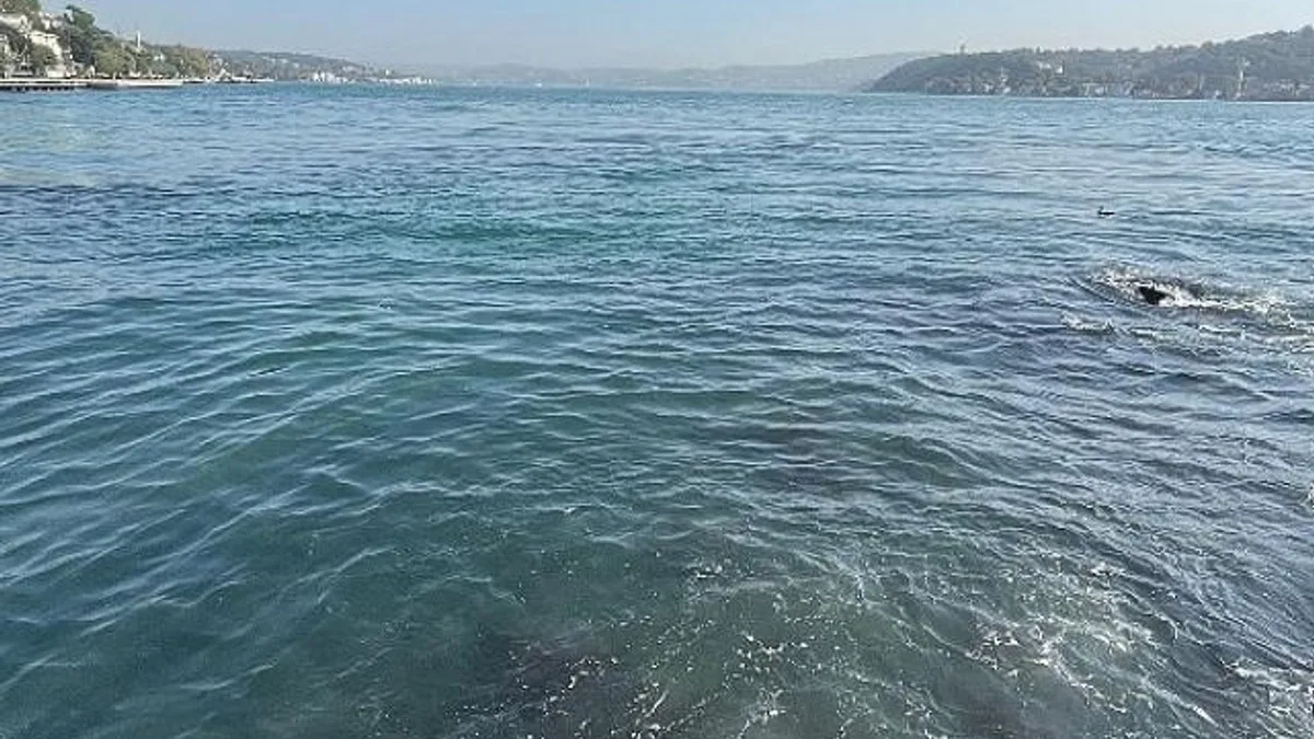 İBB’nin bağlı kuruluşu İstanbul Su ve Kanalizasyon İdaresi (İSKİ), Baltalimanı’nda boğaza atık su akışı olduğu iddialarını yalanladı