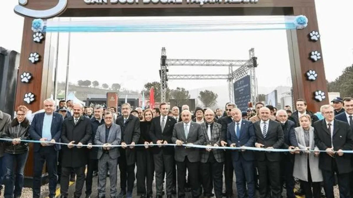 Balıkesir’den sokak hayvanlarına sıcak yuva