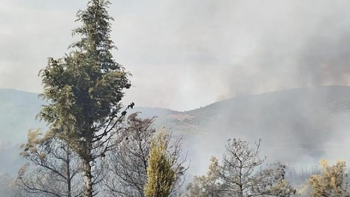 Foça yangını kontrol altına alındı