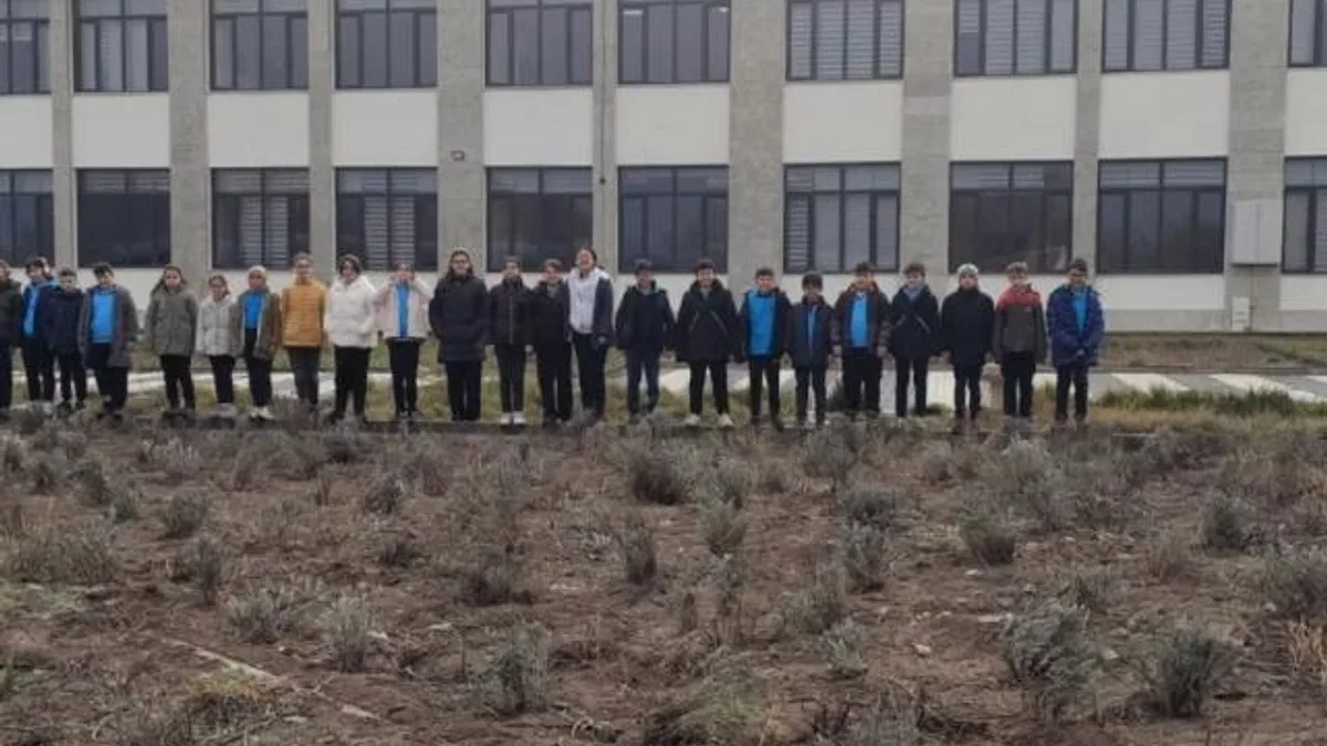 Çankırı’da okul bahçesinde lavanta yetiştiriyorlar