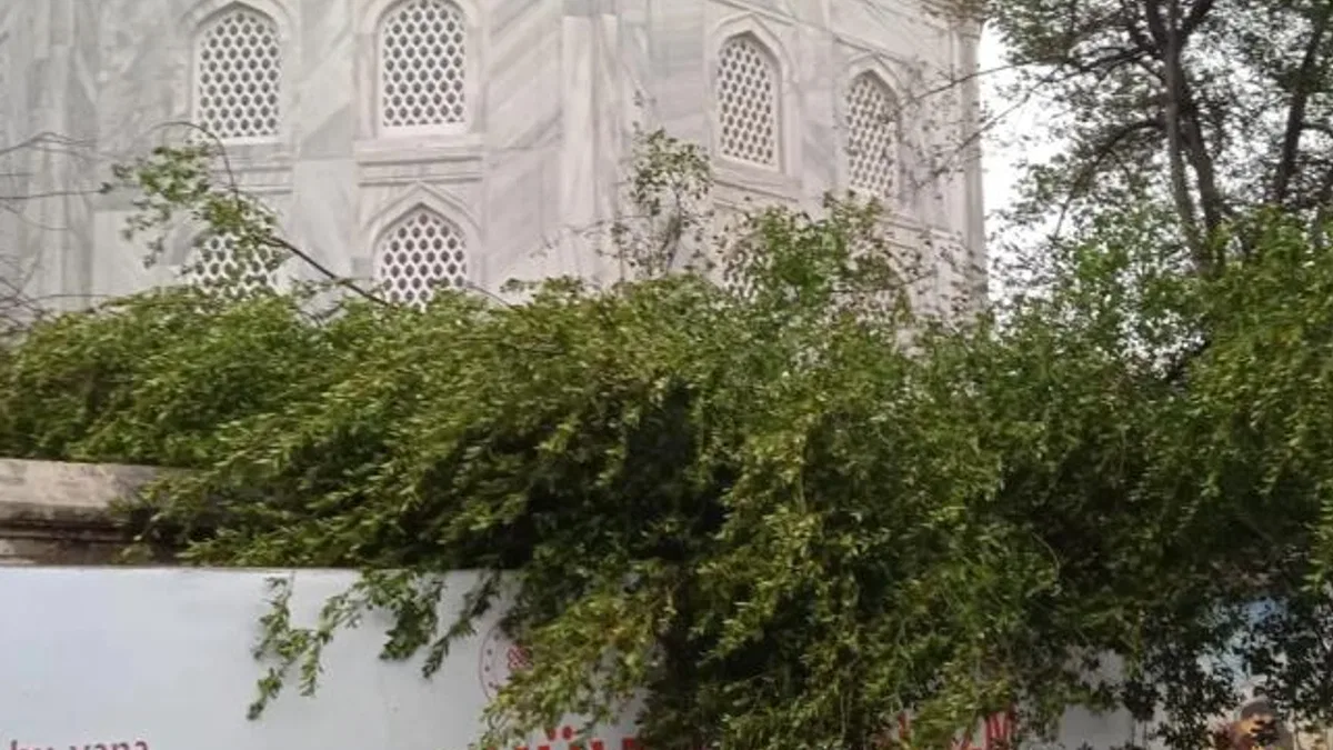 Ayasofya Camii’nde minare alem düştü! Bahçedeki ağaç kontrol altında