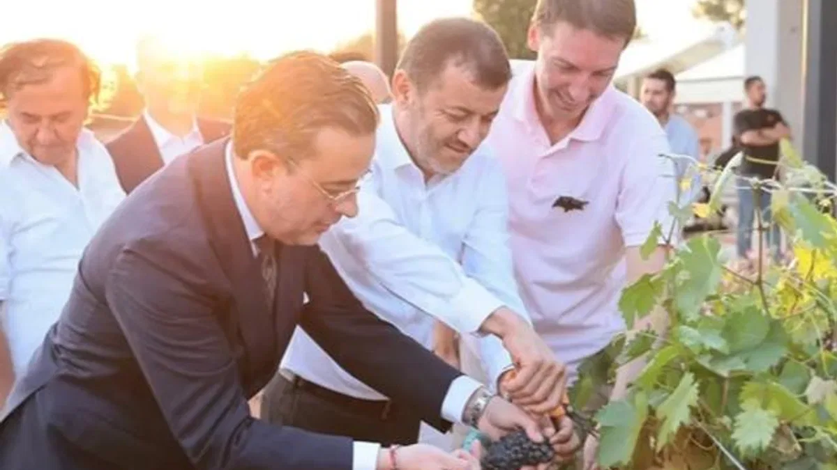 Çal Bağbozumu Festivali kültürle renklendi