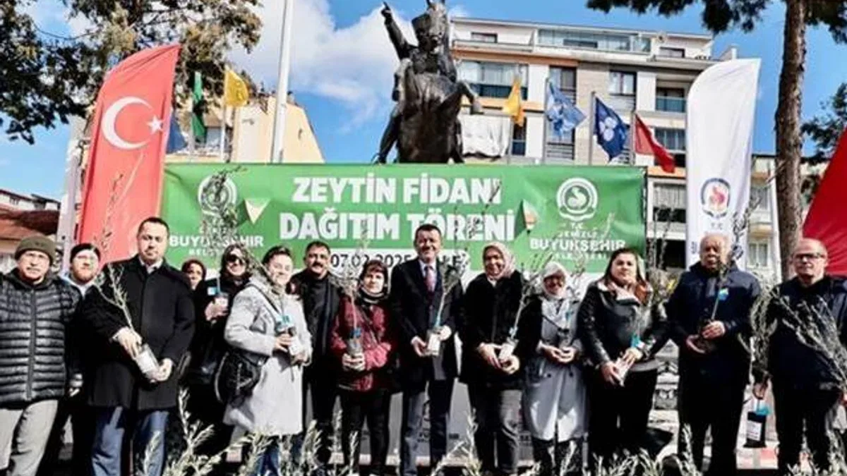 Denizli’de zeytin fidanları toprakla buluşuyor