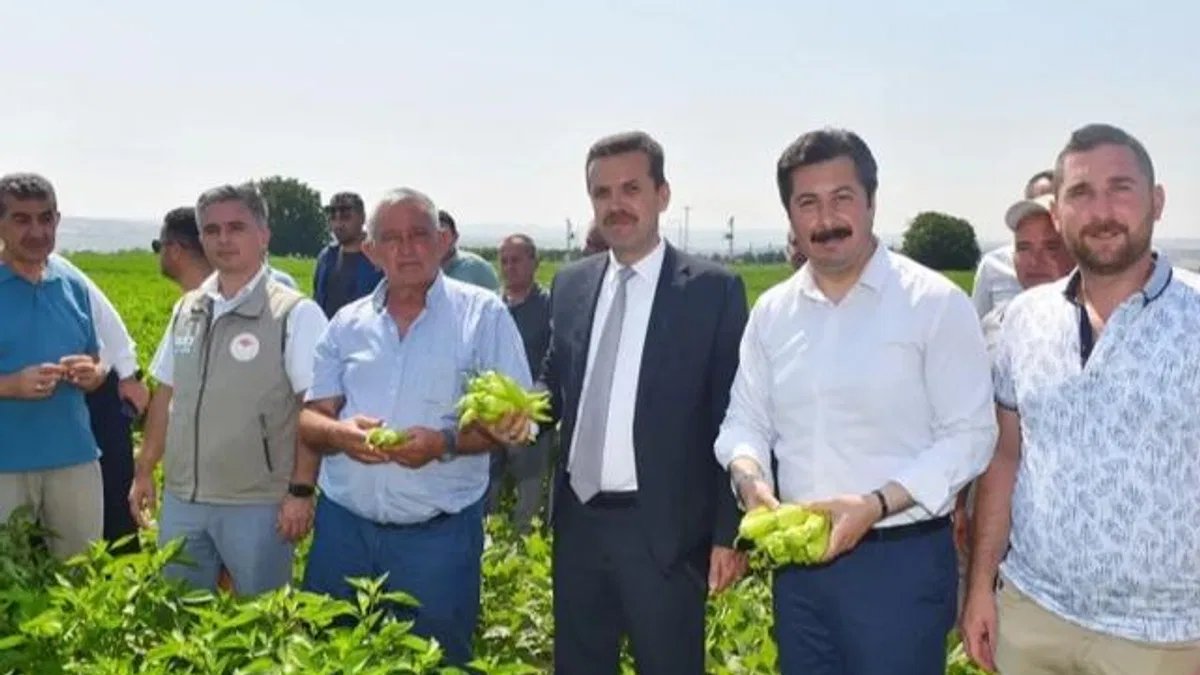Yenişehir Biberi’nin marka değeri artacak