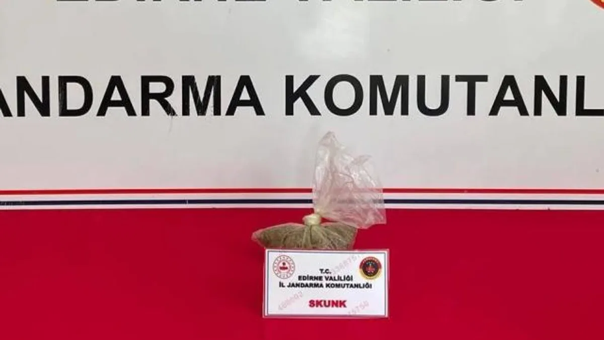 Edirne Keşan’da Skunk ele geçirildi