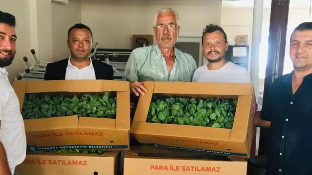 İzmit’te 500 bine yakın lahana fidesi dağıtıldı