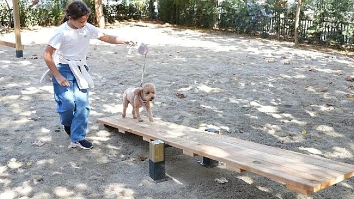 Hayvanları Koruma Günü’nde Kadıköy’de “Pati Park” Açıldı