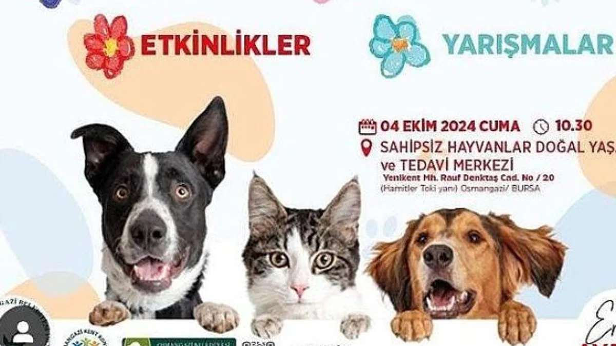 Osmangazi Belediyesi, 4 Ekim Dünya Hayvanları Koruma Günü’nde düzenleyeceği bir dizi etkinlik ile hayvan haklarına ve doğal yaşamın önemine dikkat çekecek