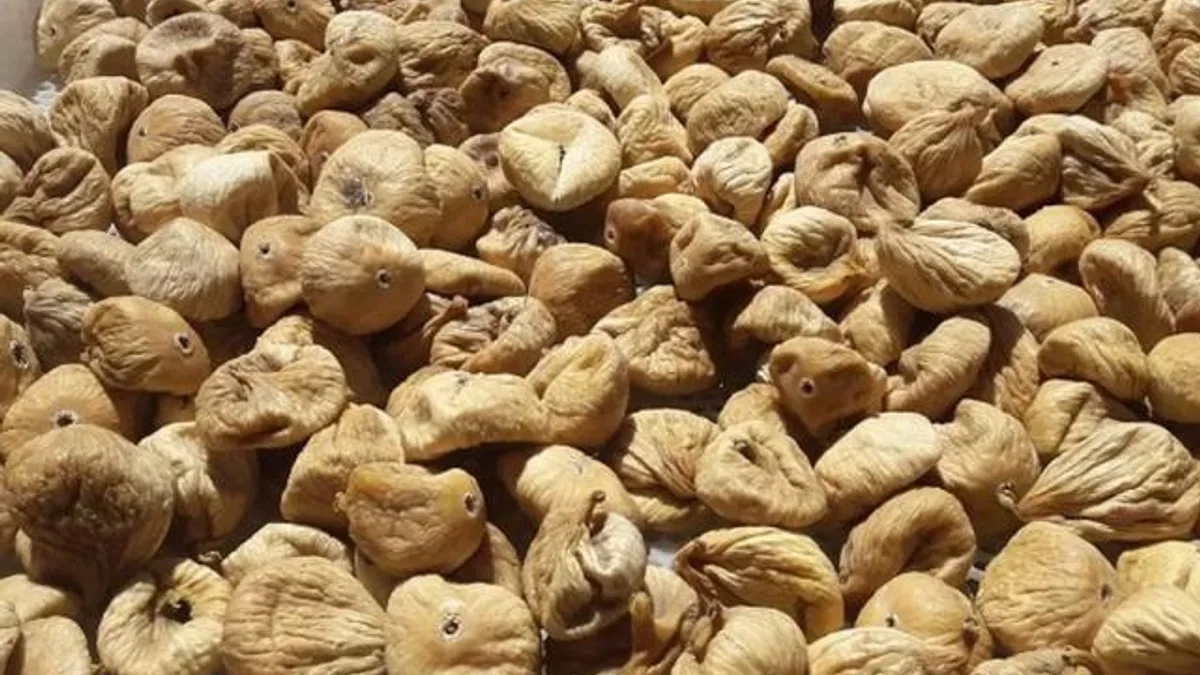 Kuru incirde üreticilere 19 bin kerevet dağıtıldı