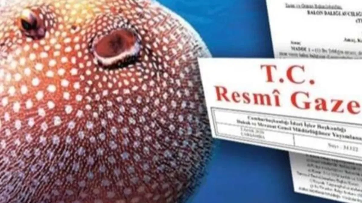 Balon Balığı avcılığı desteği artırıldı