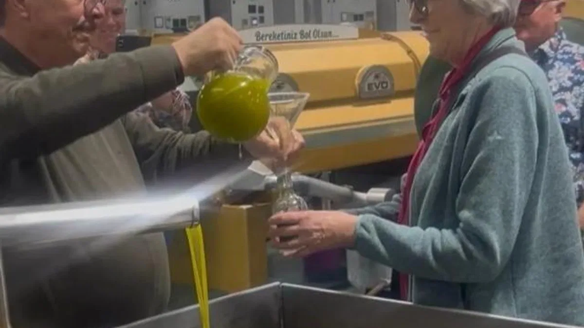 Alman çiftçiler Ayvalık zeytinyağına hayran kaldı